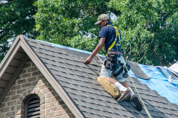 Best Roof Restoration Services  in Arnold Line, MS